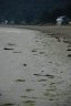 bassamarea - 