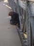 oltreilponte - 