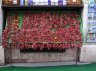 peperoncini - 